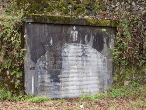 d0045626_21533135.jpg