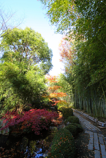 紅葉の八幡市 －松花堂庭園（外園）－_b0169330_1826934.jpg