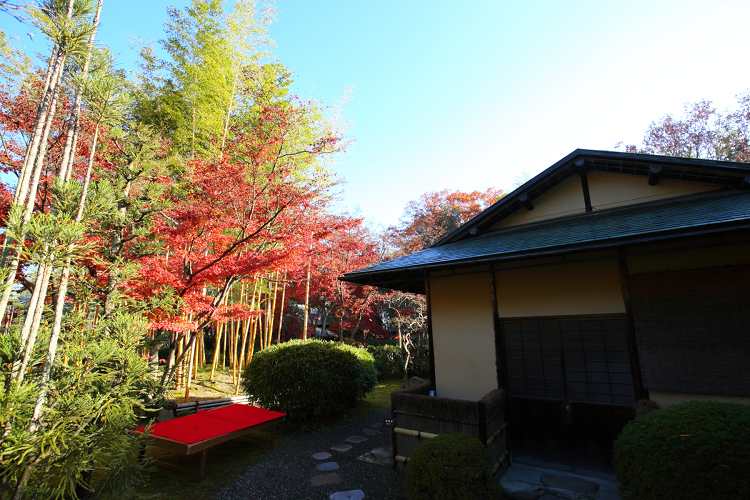 紅葉の八幡市 －松花堂庭園（外園）－_b0169330_18272256.jpg