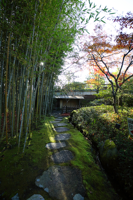 紅葉の八幡市 －松花堂庭園（外園）－_b0169330_18273215.jpg