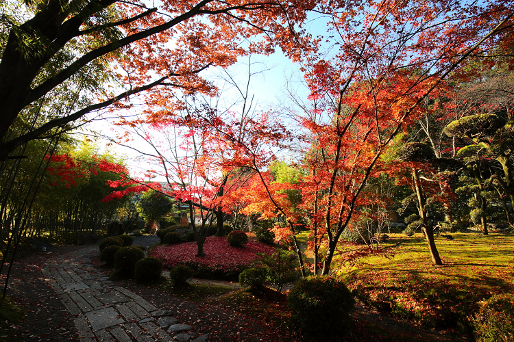 紅葉の八幡市 －松花堂庭園（外園）－_b0169330_18274746.jpg