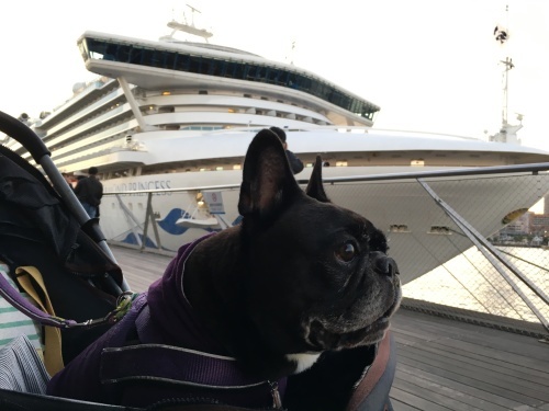 b0113232_19134812.jpeg