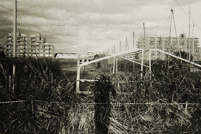 c0381632_22282710.jpg