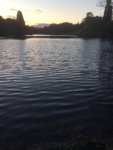 f0327534_10274810.jpg
