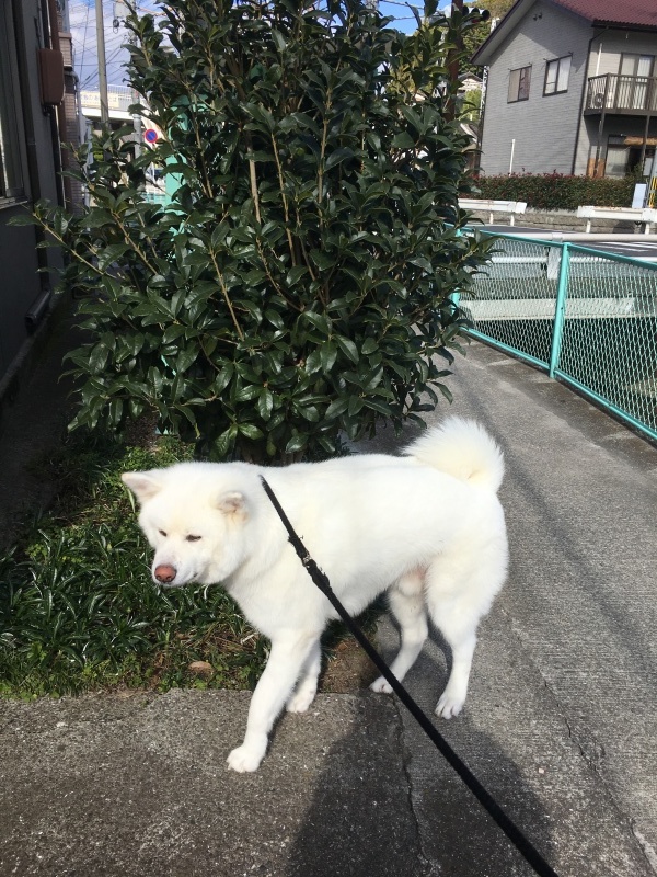 e0364035_22441335.jpeg