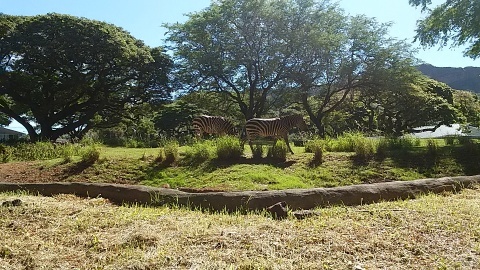 f0020336_10481080.jpg