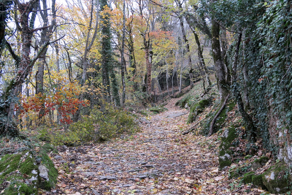 f0234936_8154851.jpg