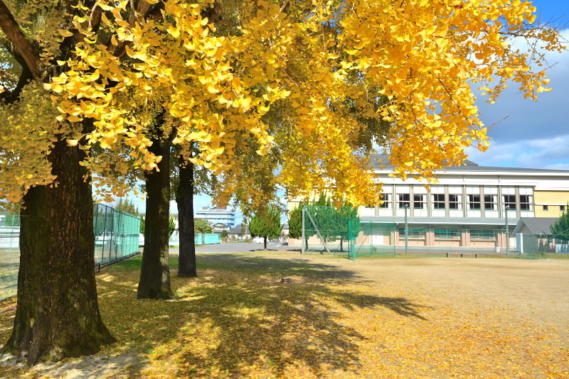 e0056537_17254011.jpg