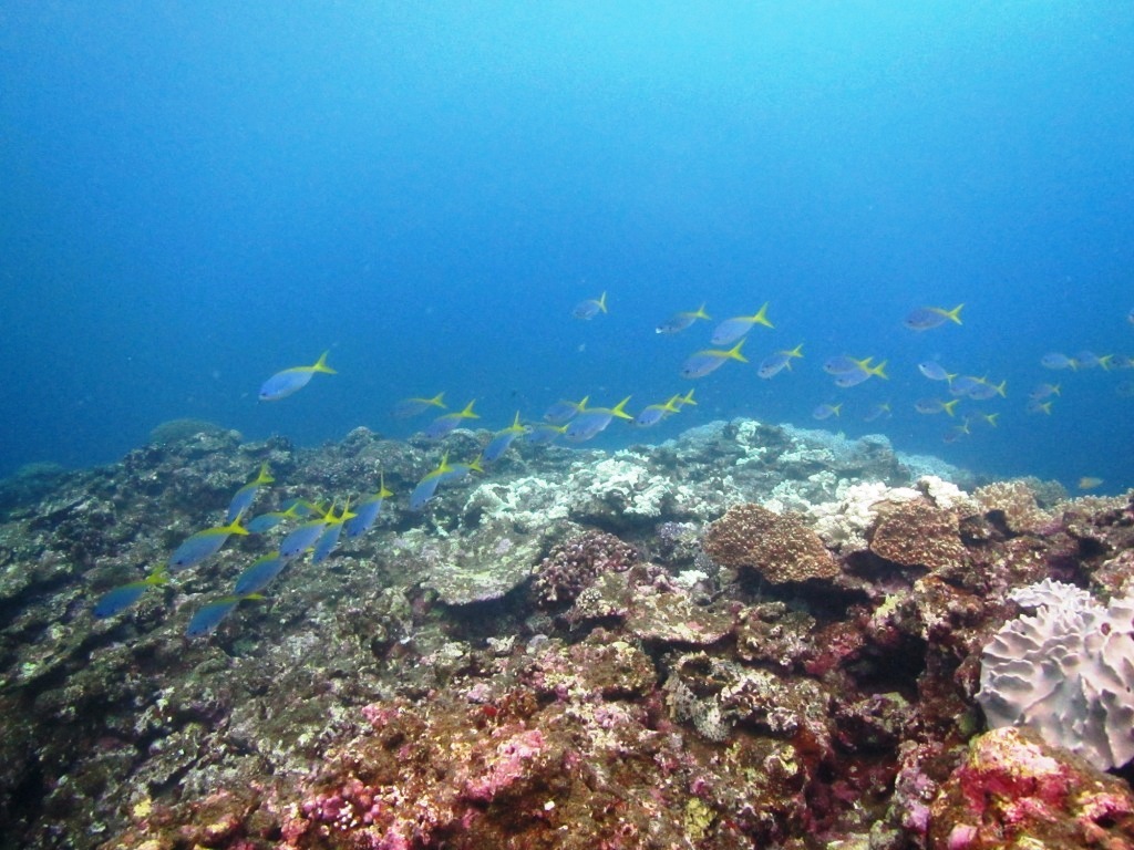 a0189838_06120128.jpg