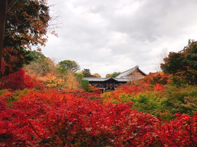 東福寺と紅葉_d0020139_14212747.jpg