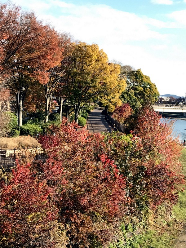 東日本大震災／熊本大分大震災／九州北部豪雨災害チャリティラン～season7 １１月・２６キロ_b0057140_17052912.jpg