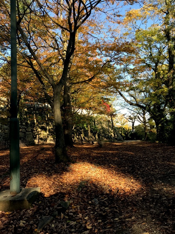 b0057140_17063804.jpg