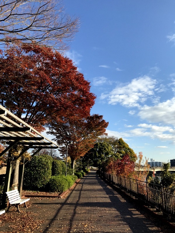 東日本大震災／熊本大分大震災／九州北部豪雨災害チャリティラン～season7 １１月・２６キロ_b0057140_17223724.jpg