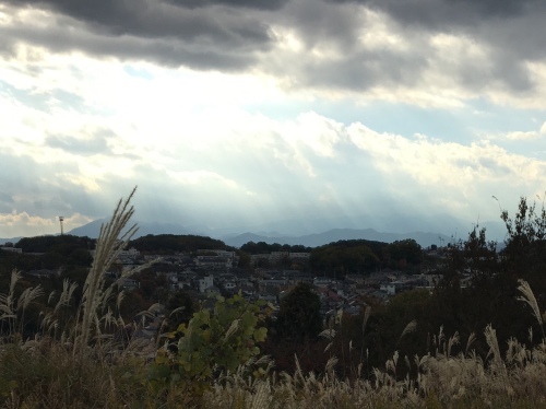 b0330040_03042467.jpeg