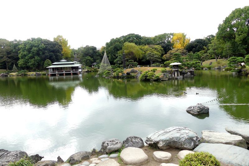 ツグミ・キンクロハジロ・ヒドリガモ・オナガガモ・・・日野/清澄庭園_d0354344_17201871.jpg