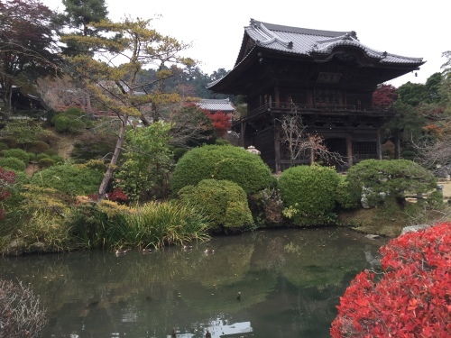 秋の高麗川 その2_c0331145_23161742.jpg