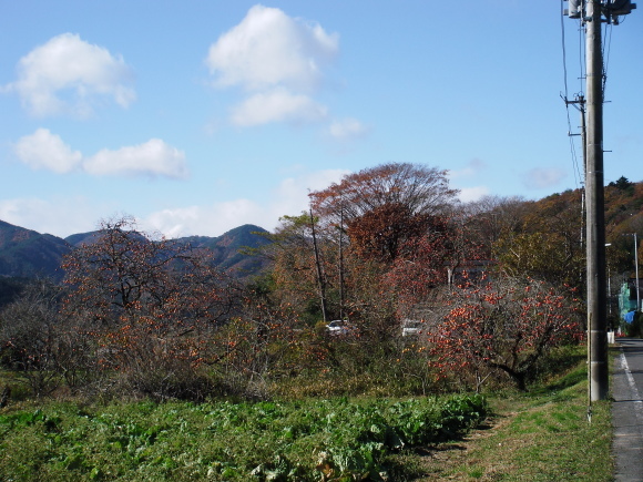 c0325468_17072879.jpg