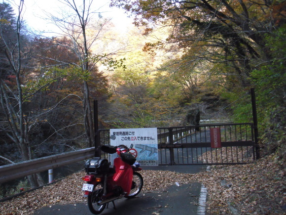 c0325468_17074445.jpg
