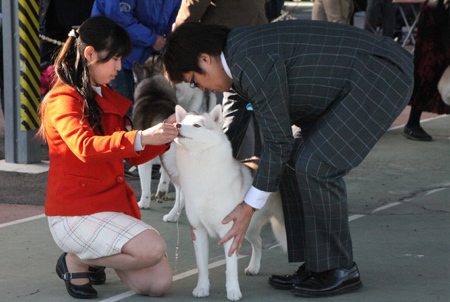 ♪ ユアン＆シマー 神奈川南クラブ連合会展 ♪_c0161772_22335615.jpg