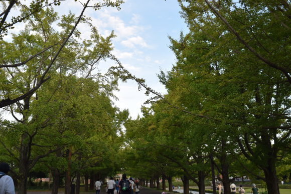 b0242873_01080522.jpg