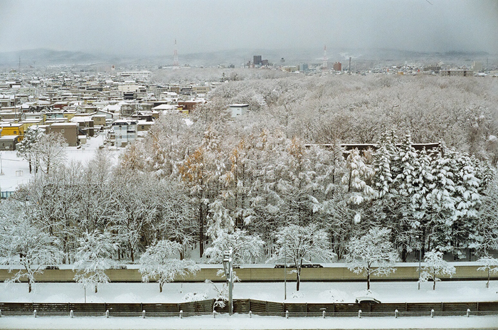 いよいよドカ雪が来ました_c0182775_16514236.jpg