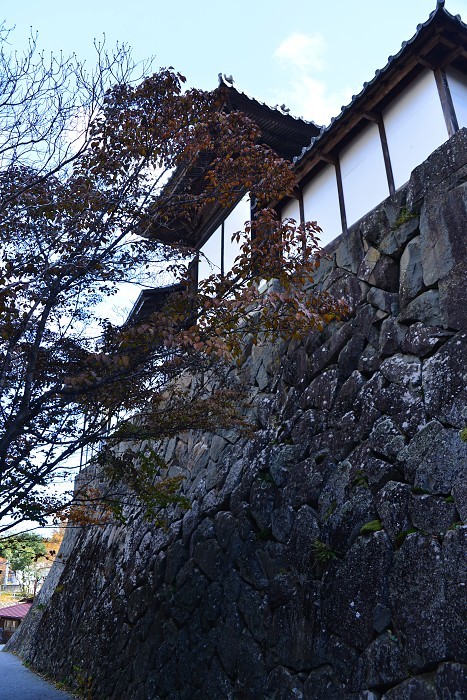 d0341880_08155457.jpg
