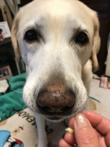 f0315081_20041797.jpeg