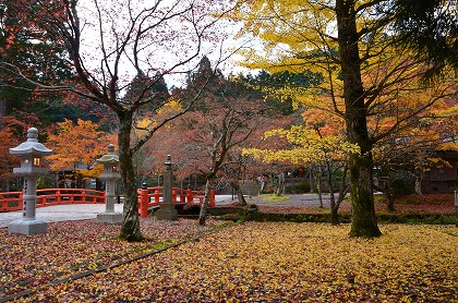 c0229483_22393023.jpg
