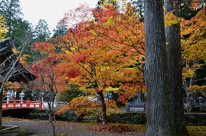 c0229483_22423731.jpg
