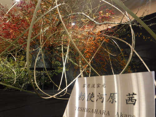 草月いけばな展 (博多阪急)_d0195183_18204538.jpeg