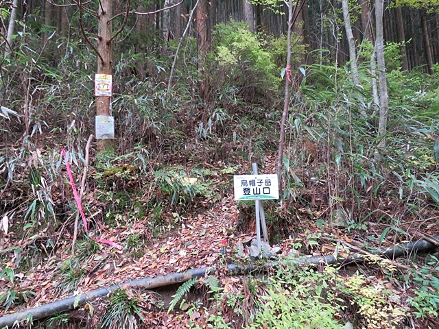 f0357487_23005657.jpg