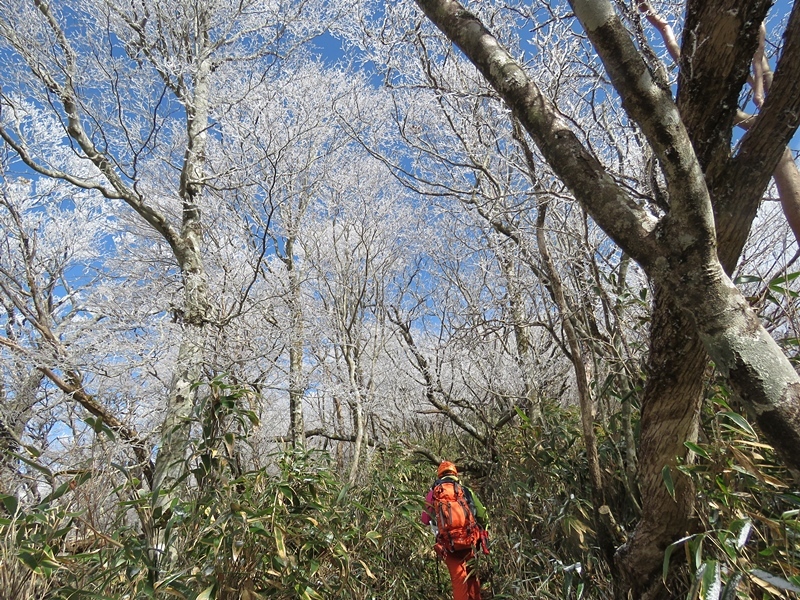 f0357487_23175550.jpg