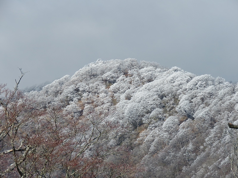 f0357487_23182064.jpg