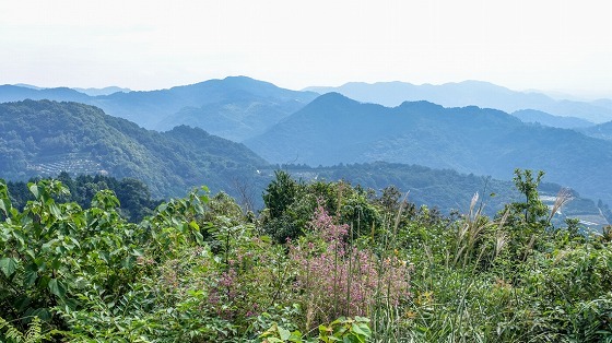e0176993_07253735.jpg