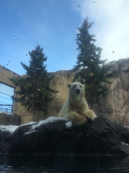 b0199097_15134386.jpeg