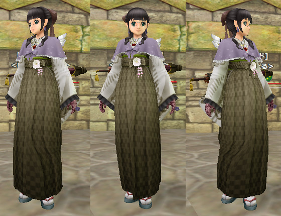 ハイカラ装備の染色 みみみっくす