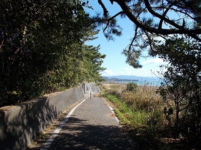 f0308898_19112858.jpg