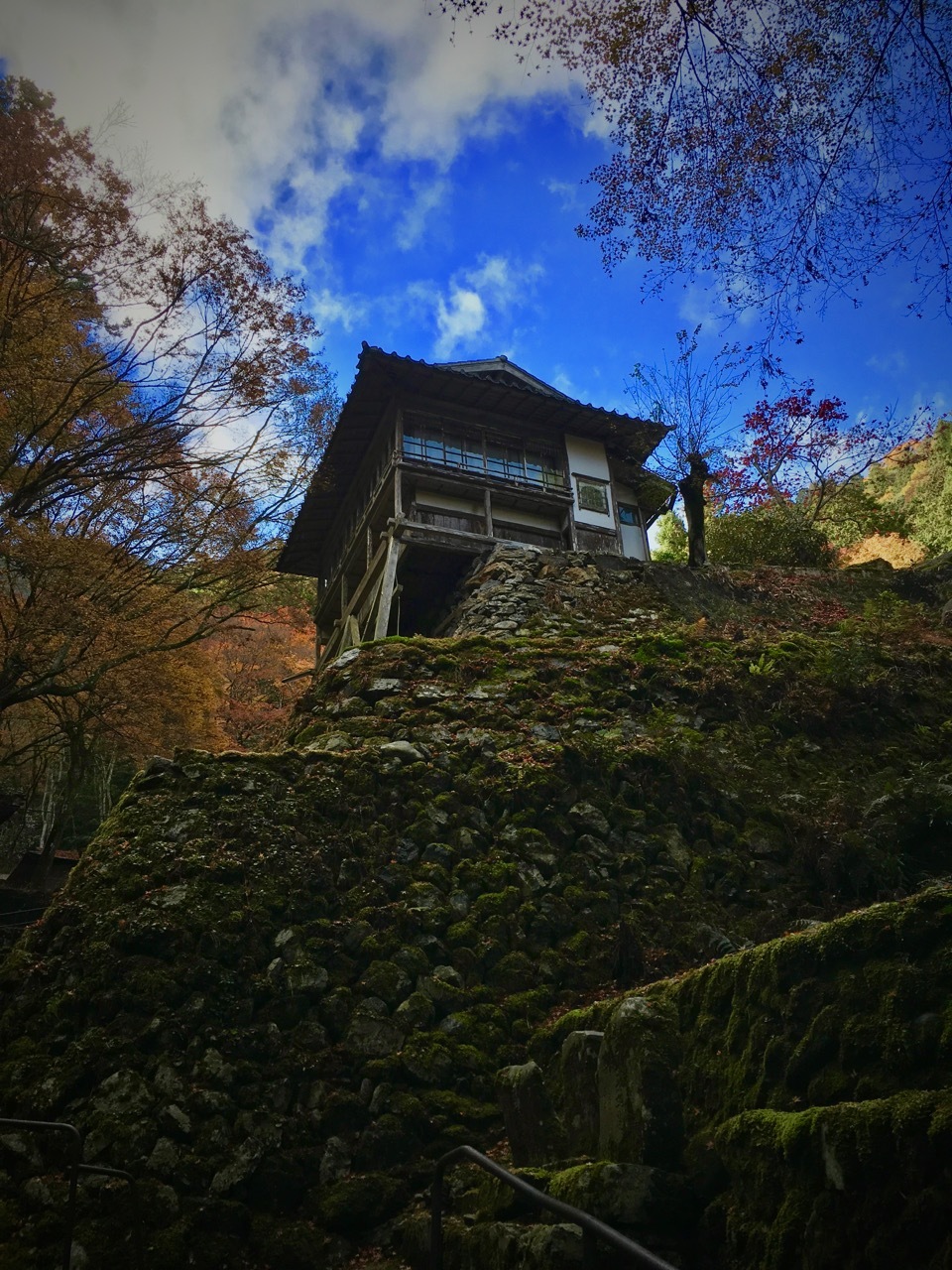 京都　古知谷　阿弥陀寺の紅葉_d0117999_18400785.jpg