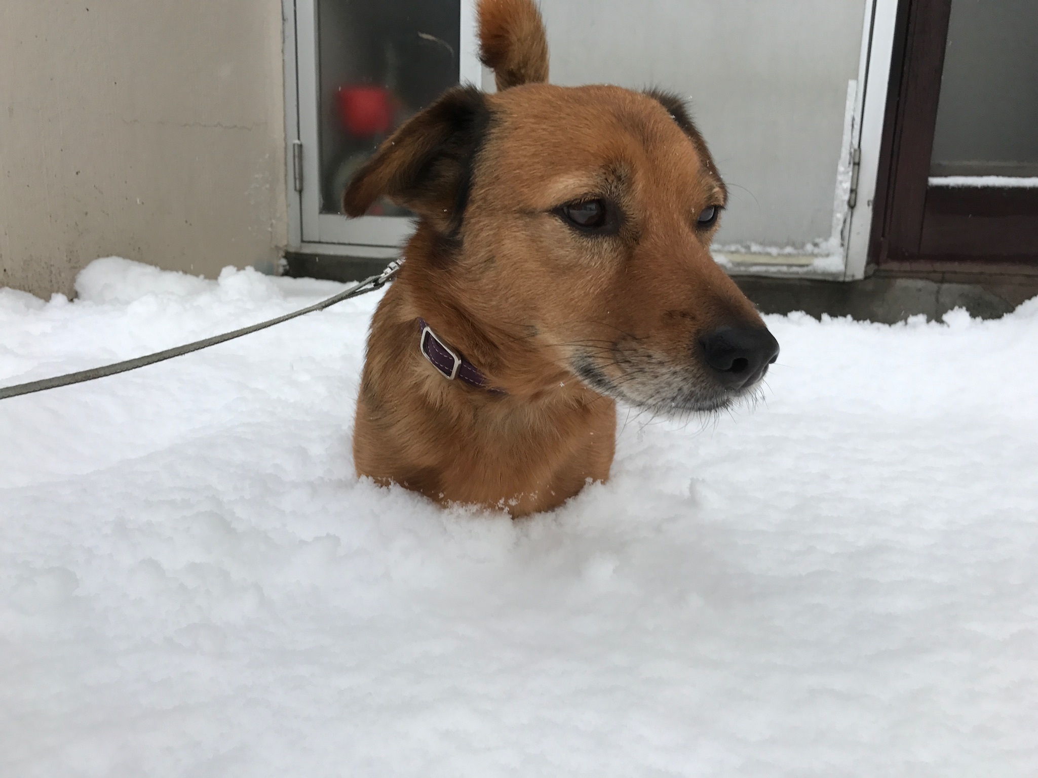 b0220002_21351805.jpeg