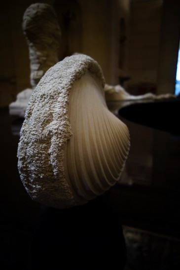 e0206902_17575948.jpg