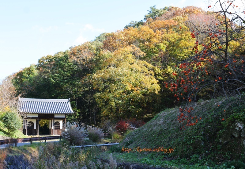 フリマ＆バザー　と　紅葉まつり_a0123003_13084670.jpg