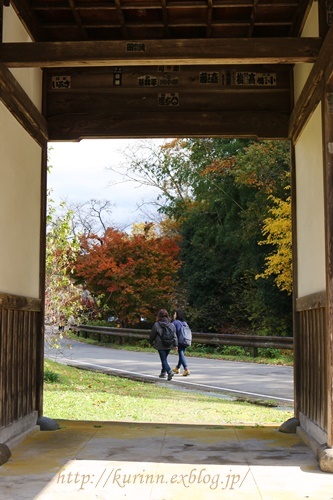 フリマ＆バザー　と　紅葉まつり_a0123003_13131877.jpg