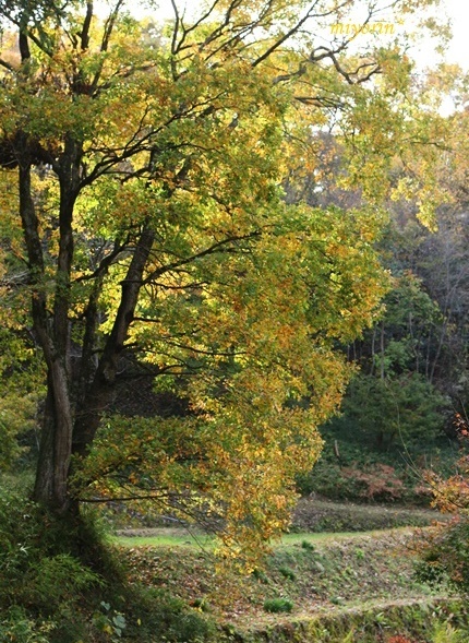 a0123003_13145161.jpg