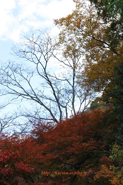 a0123003_13152452.jpg