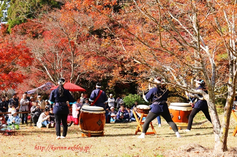 フリマ＆バザー　と　紅葉まつり_a0123003_13334159.jpg