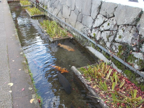 山口県環境生活部環境政策課長、平29環境政策第488号　等に対応し_c0192503_13261782.jpg