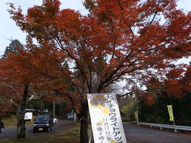 f0197703_12381352.jpg