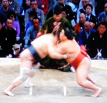 安美錦　大相撲九州場所　九日目_b0044404_21335944.jpg
