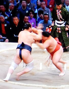 安美錦　大相撲九州場所　九日目_b0044404_21353430.jpg