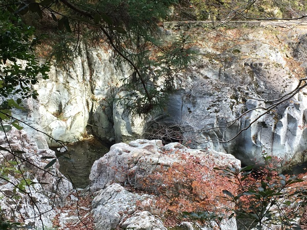 f0364707_08592310.jpg